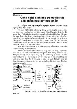 Công nghệ sinh học chế biến các sản phẩm sau thu hoạch - Chương V: Công nghệ sinh học trong việc tạo sản phẩm hữu cơ thực phẩm