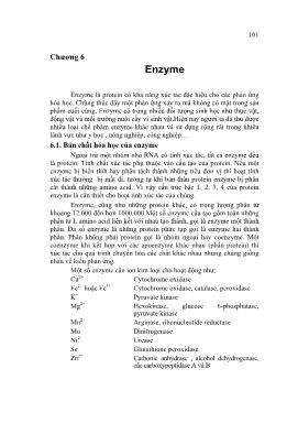 Sinh học - Chương 6: Enzyme