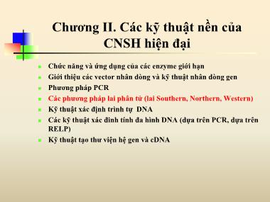 Sinh học - Chương II: Các kỹ thuật nền của CNSH hiện đại (tt)