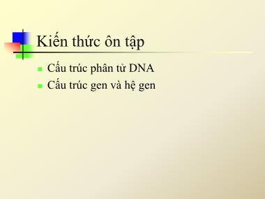 Sinh học - Thành phần cấu tạo của DNA - Các bazơ
