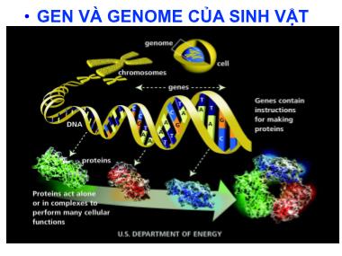 Sinh học - Gen và genome của sinh vật