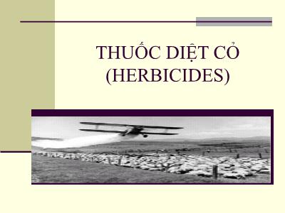 Sinh học - Thuốc diệt cỏ (herbicides)