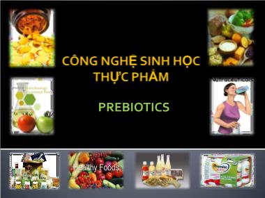 Công nghệ sinh học thực phẩm - Prebiotics