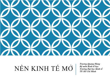 Kinh tế phát triển - Nền kinh tế mở