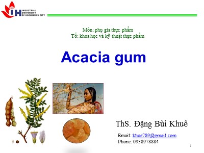 Phụ gia thực phẩm - Acacia gum