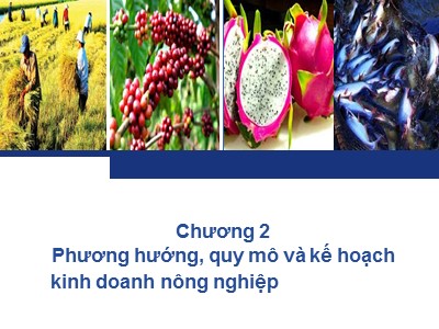 Quản trị kinh doanh nông nghiệp - Chương 2: Phương hướng, quy mô và kế hoạch kinh doanh nông nghiệp Template