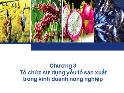 Quản trị kinh doanh nông nghiệp - Chương 3: Tổ chức sử dụng yếu tố sản xuất trong kinh doanh nông nghiệp