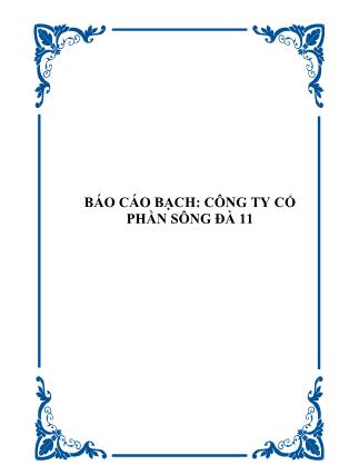 Báo cáo bạch: Công ty cổ phần sông Đà 11