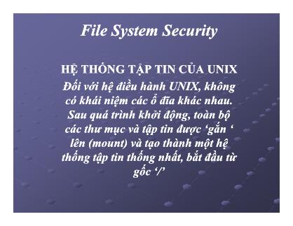 Cơ sở dữ liệu - File system security