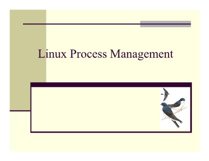 Cơ sở dữ liệu - Linux process management