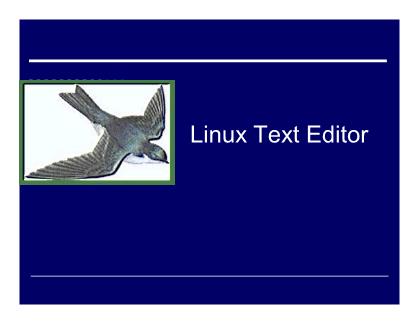 Cơ sở dữ liệu - Linux text editor
