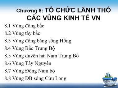 Địa lý kinh tế - Chương 8: Tổ chức lãnh thổ các vùng kinh tế Việt Nam