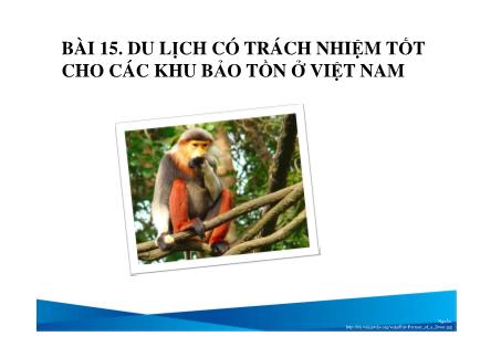 Du lịch dịch vụ - Bài 15: Du lịch có trách nhiệm tốt cho các khu bảo tồn ở Việt Nam