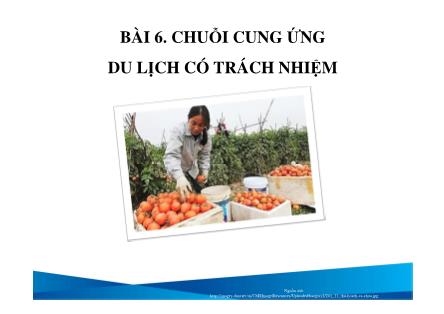 Du lịch dịch vụ - Bài 6: Chuỗi cung ứng du lịch có trách nhiệm