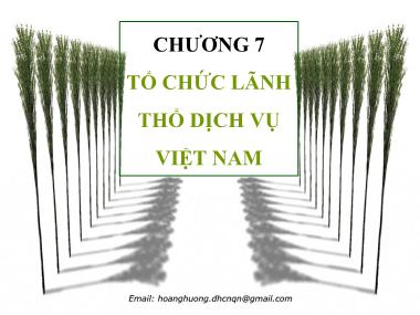 Quản lý đất đai - Chương 7: Tổ chức lãnh thổ dịch vụ Việt Nam