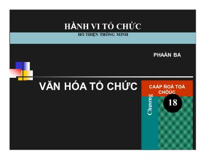 Quản trị kinh doanh - Văn hóa tổ chức (tt)