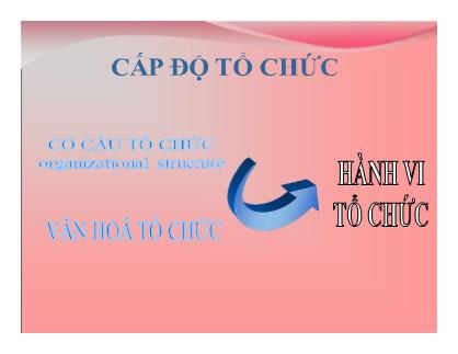 Quản trị Marketing - Cấp độ tổ chức