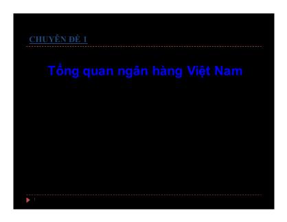 Marketing ngân hàng - Chuyên đề 1: Tổng quan ngân hàng Việt Nam