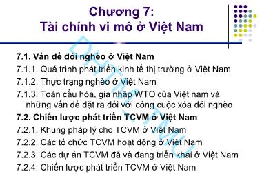 Tài chính vi mô - Chương 7: Tài chính vi mô ở Việt Nam