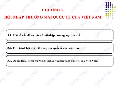 Kinh tế thương mại Việt Nam - Chương 3: Hội nhập thương mại quốc tế của Việt Nam