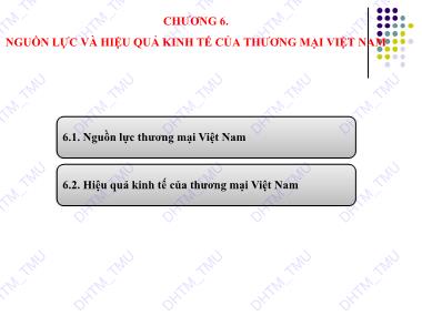 Kinh tế thương mại Việt Nam - Chương 6: Nguồn lực và hiệu quả kinh tế của thương mại Việt Nam