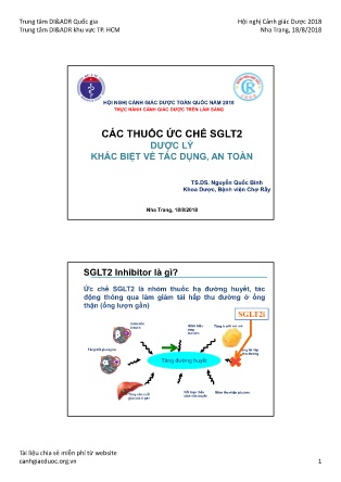 Bài giảng Các thuốc ức chế SGLT2 dược lý khác biệt về tác dụng, an toàn