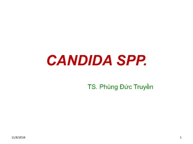 Bài giảng Candida SPP