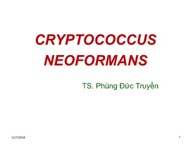 Bài giảng Cryptococcus Neoformans