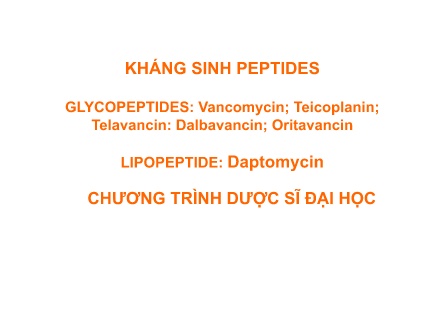 Bài giảng Dược lý 2 - Kháng sinh Peptides (Chương trình Dược sĩ Đại học)