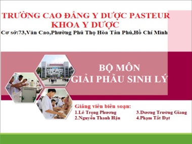 Bài giảng Giải phẫu sinh lý - Bài 11: Giải phẫu sinh lý Hệ nội tiết