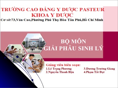 Bài giảng Giải phẫu sinh lý - Bài 3: Giải phẫu sinh lý hệ cơ