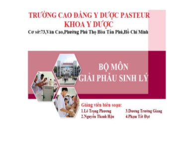 Bài giảng Giải phẫu sinh lý - Bài 8: Giải phẫu sinh lý Hệ sinh dục