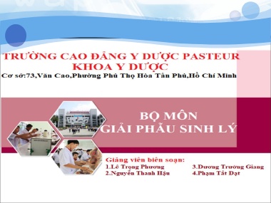 Bài giảng Giải phẫu sinh lý - Thay đổi giải phẫu và sinh lý người mẹ trong lúc mang thai