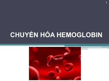 Bài giảng Hóa sinh - Chương 12: Chuyển hóa Hemoglobin