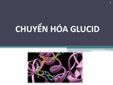 Bài giảng Hóa sinh - Chương 4: Chuyển hóa Glucid