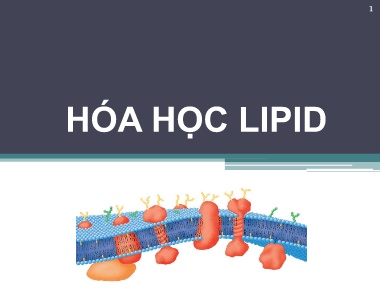 Bài giảng Hóa sinh - Chương 5: Hóa học Lipid
