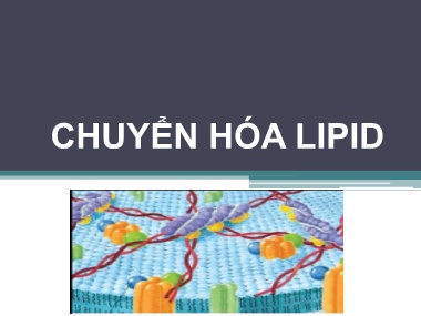 Bài giảng Hóa sinh - Chương 6: Chuyển hóa Lipid
