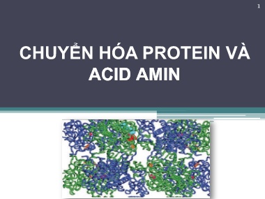 Bài giảng Hóa sinh - Chương 8: Chuyển hóa Protein và Acid Amin