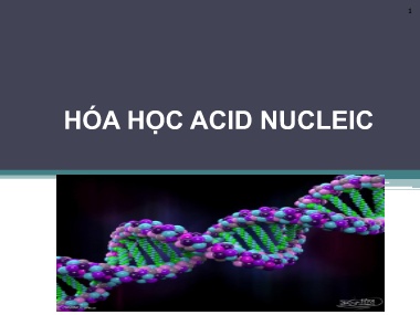 Bài giảng Hóa sinh - Chương 9: Hóa học Acid Nucleic