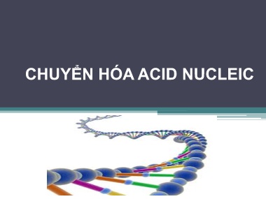 Bài giảng Hóa sinh - Chuyển hóa Acid Nucleic