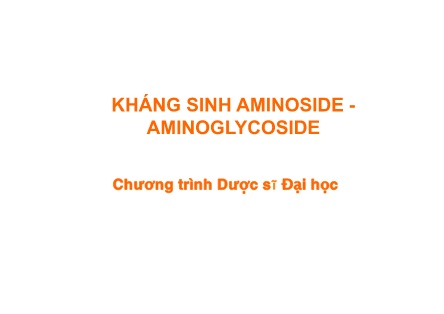 Bài giảng Kháng sinh aminoside - Aminoglycoside (Chương trình Dược sĩ Đại học)