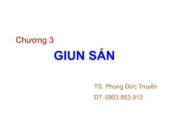 Bài giảng Ký sinh trùng - Chương 3: Giun sán