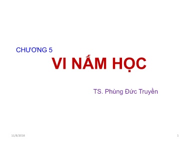Bài giảng Ký Sinh Trùng - Chương 5: Vi Nấm học