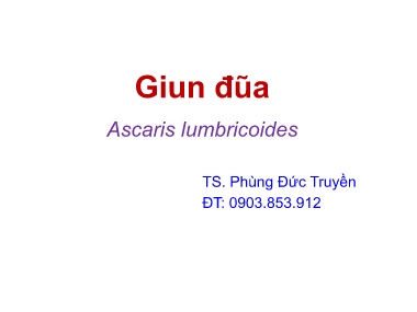 Bài giảng Ký sinh trùng - Giun đũa (Ascaris lumbricoides)