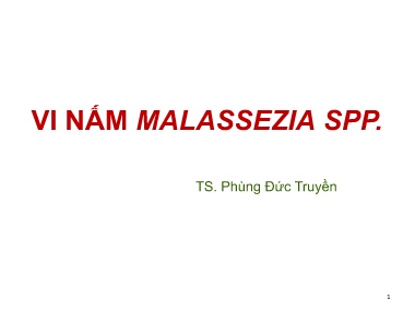 Bài giảng Ký Sinh Trùng - Vi Nấm Malassezia SPP