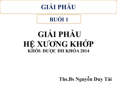 Bài giảng môn Giải phẫu - Buổi 1: Giải phẫu hệ xương khớp