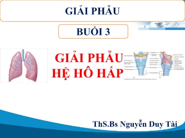 Bài giảng môn Giải phẫu - Buổi 3: Giải phẫu hệ hô hấp