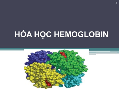 Bài giảng môn Hóa sinh - Chương 11: Hóa học Hemoglobin