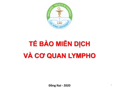 Bài giảng Tế bào miễn dịch và cơ quan Lympho