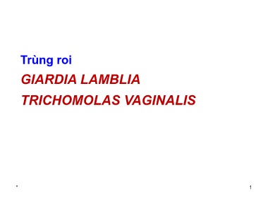 Bài giảng Trùng roi (Giardia Lamblia Trichomolas Vaginalis)